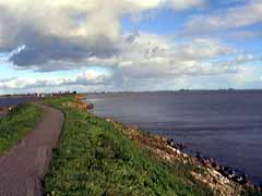 De huidige IJsselmeerdijk in de richting van Uitdam, nabij het Kinselmeer.