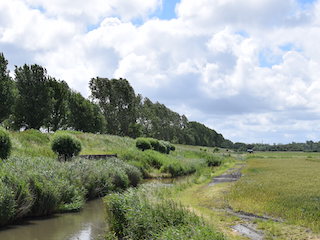 Liniewal in de Zuidwijkermeerpolder.